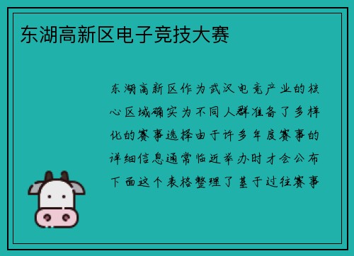东湖高新区电子竞技大赛